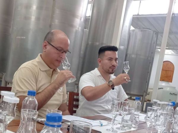 Catamos los piscos de&nbsp;Sarcay