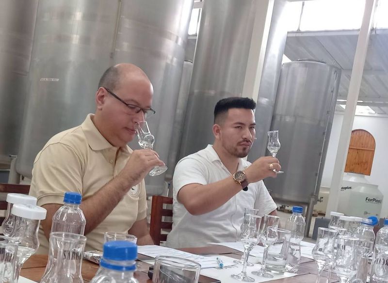Catamos los piscos de&nbsp;Sarcay
